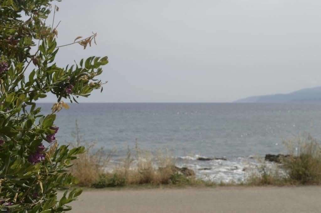 Andromeda Apartments & Studios Hersonissos  Luaran gambar